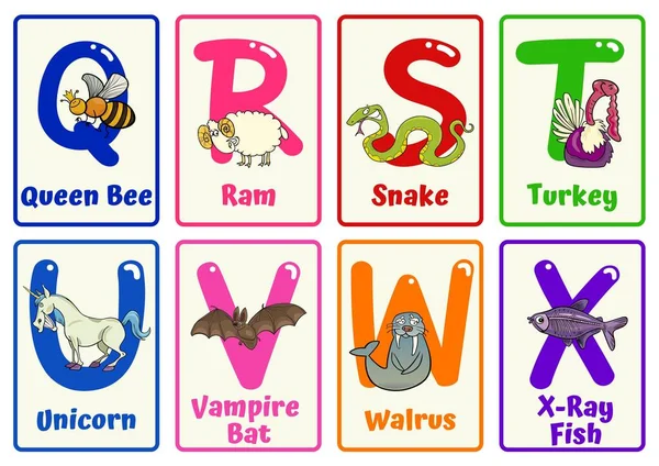 Alfabeto Animales Flashcards —  Fotos de Stock