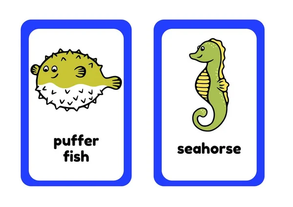 Blue Ocean Animals Flashcards — Foto de Stock
