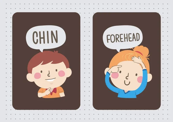 Brown Illustrated English Parts Body Flashcard — 스톡 사진