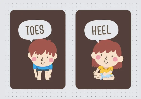 Brown Illustrated English Parts Body Flashcard — 스톡 사진
