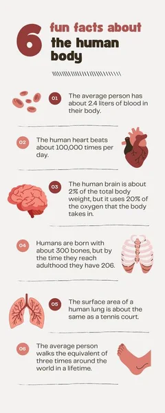 Barna Minimalista Emberi Test Fun Fact Infographic — Stock Fotó