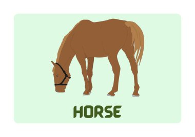 Çiftlik Hayvanları Kartları - 1