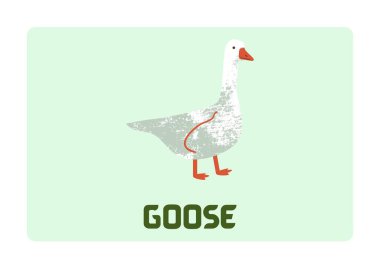 Çiftlik Hayvanları Kartları - 9