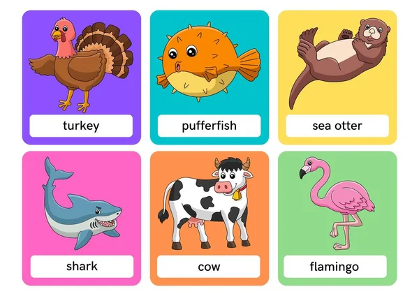 Animales Dibujos Animados Flashcards — Foto de Stock