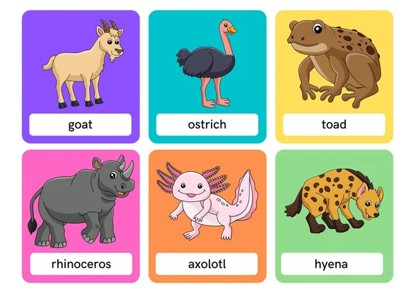 Cartoni Animati Animali Flashcards — Foto Stock