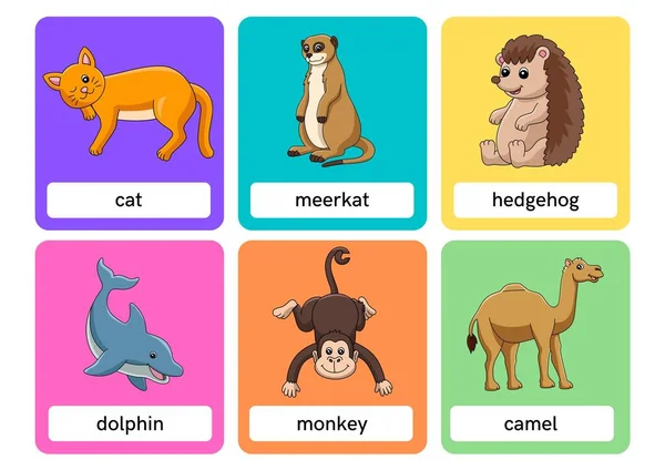 Cartoon Animals Karteikarten — Stockfoto