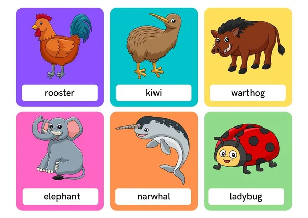 Cartoni Animati Animali Flashcards — Foto Stock