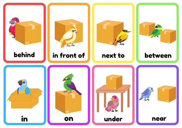 Colorful Birds Prepositions Place Flashcards — Stock Photo, Image