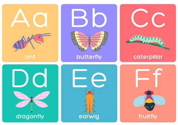 Renkli Eğitim Alfabesi Flashcards Böcekleri — Stok fotoğraf