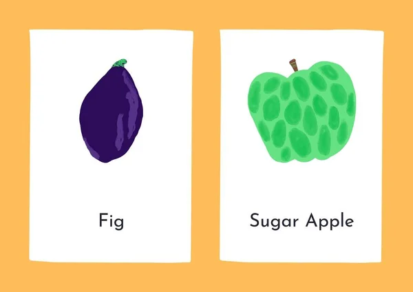 Kolorowe Ilustracyjne Angielskie Flashcard Owoców Tropikalnych — Zdjęcie stockowe