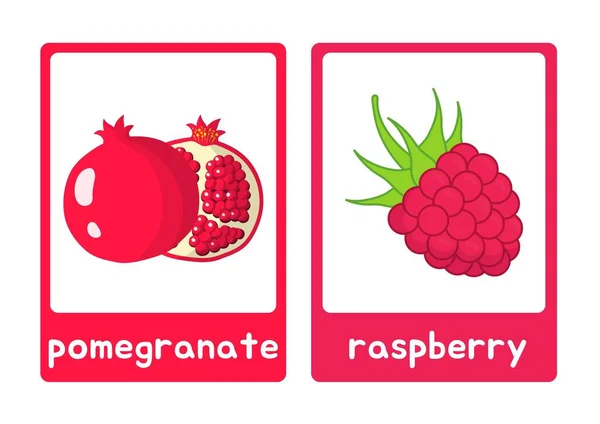 Kleurrijke Illustratieve Vruchten Flashcard — Stockfoto