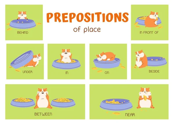 Preposições Hamster Bonito Colorido Flashcards Lugar — Fotografia de Stock