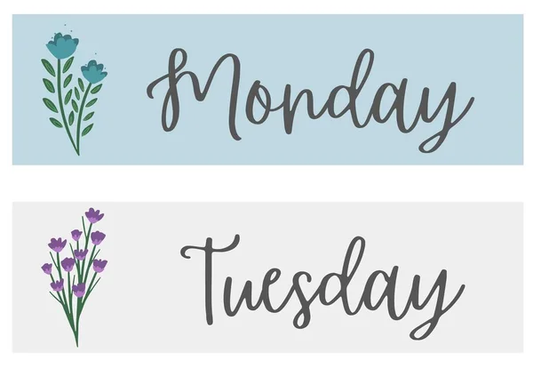 Dias Semana Pastel Flower Display Flashcards — Fotografia de Stock