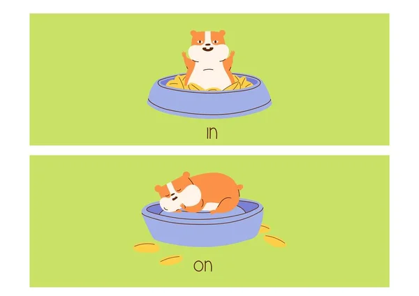 Colourful Cute Hamster Prepositions Place Flashcards — Stock Photo, Image
