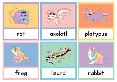 Eğlenceli Hayvan Bilimi Resim Kartları - 4