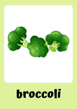 Yeşil - Temalı Sebzeler Flaşkartları - 4