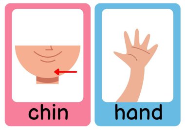Renkli Vücut Parçaları Flashcards - 8