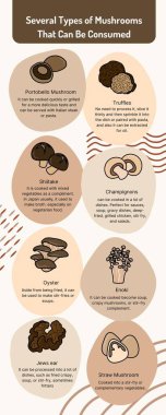 Pastel Bej Basit Mantar Bilgisinin Çeşitli Türleri