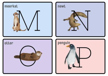 Pastel Suluboya Eğitim Alfabe Kartları - 4