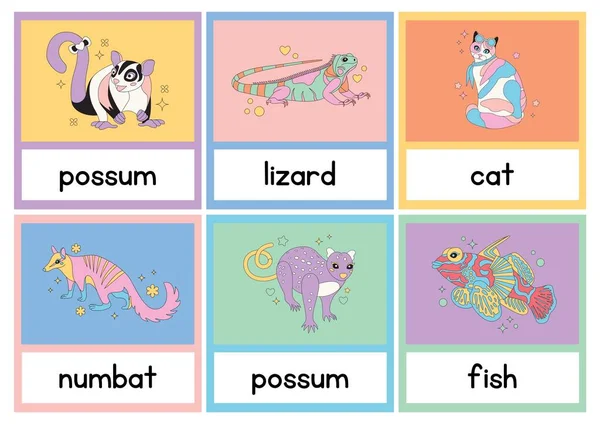Fun Animal Science Picture Flashcards — Fotografia de Stock