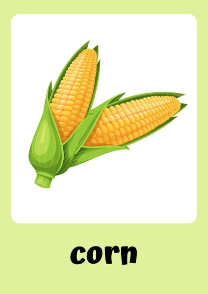 Зелені Тематичні Ілюстративні Овочі Картки — стокове фото