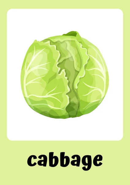 Verde Themed Illustrative Vegetables Flashcards — Fotografia de Stock