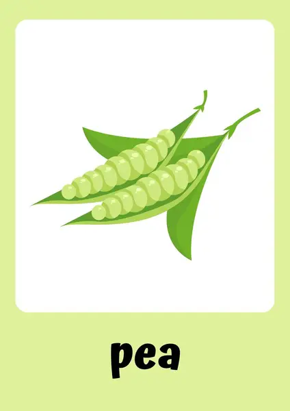 Yeşil Temalı Sebzeler Flashcards — Stok fotoğraf