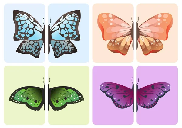 Partnerarbeit Passende Karten Schmetterlinge — Stockfoto