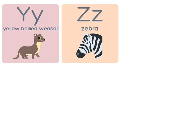Tęczowe Kartki Alfabetem Zwierzęcym — Zdjęcie stockowe