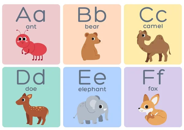 Rainbow Pastel Animal Alphabet Flashcards — Fotografia de Stock