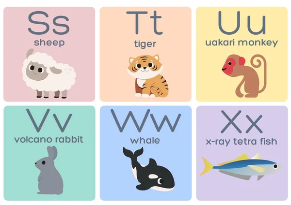 Tęczowe Kartki Alfabetem Zwierzęcym — Zdjęcie stockowe