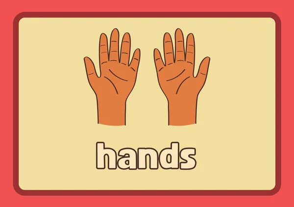 Rode Gele Hand Getrokken Lichaamsdelen Flashcard — Stockfoto