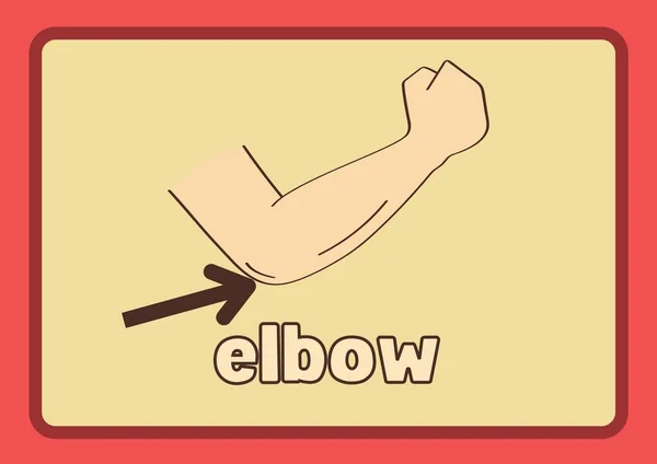 Peças Corpo Desenhadas Mão Vermelho Amarelo Flashcard — Fotografia de Stock