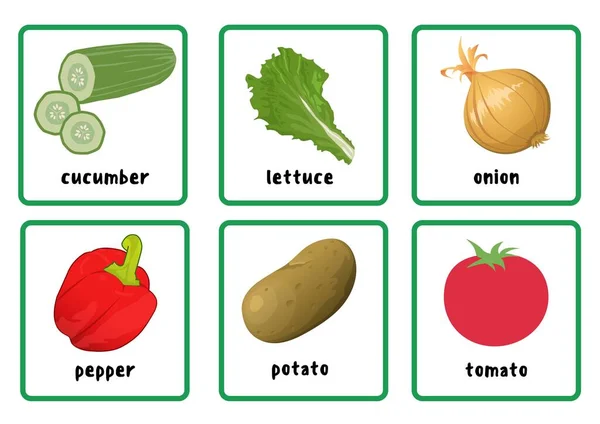 Zöldségek Flashcards Art Grafikai Tervezés — Stock Fotó