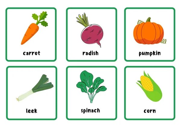 Verduras Flashcards Diseño Gráfico Arte —  Fotos de Stock