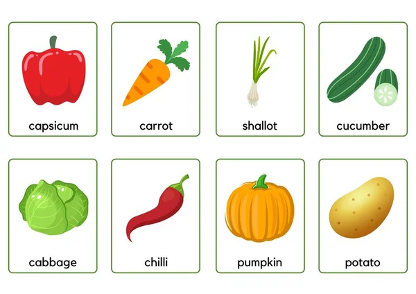 Zeleninové Kartičky Flashcards Grafický Design — Stock fotografie