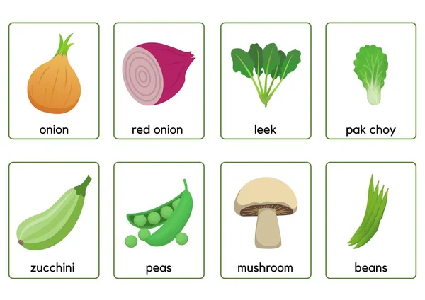 Grönsaker Flashcards Konst Grafisk Design — Stockfoto