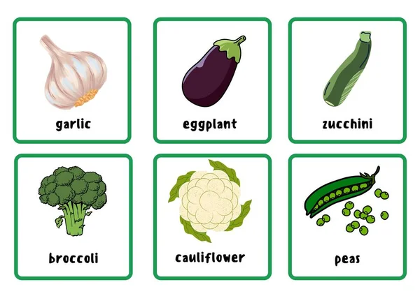 Vegetables - Flashcards - 3 art graphic design
