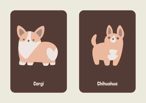 White Brown Gray Cute Illustrated Dog Breed Flashcard — стокове фото