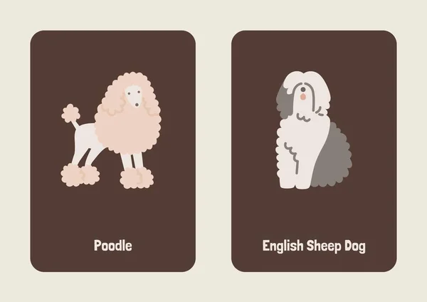 White Brown Gray Cute Illustrated Dog Breed Flashcard - 8