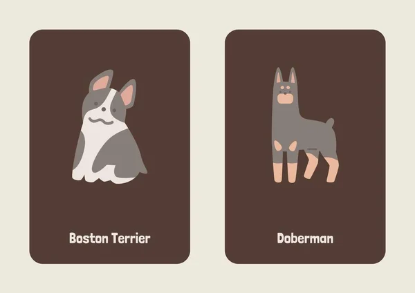 White Brown Gray Cute Illustrated Dog Breed Flashcard - 9