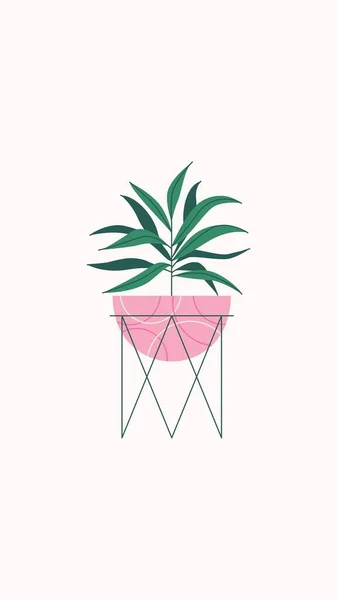 Cute natural phone wallpaper with plant in pot