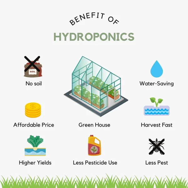Hydroponika Ilustracja Infografika Instagram Post — Zdjęcie stockowe