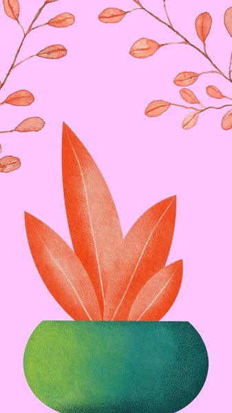Painted Potted Plant Pink Leaves Pink Pot Watercolor Phone Wallpaper — Stock Photo, Image