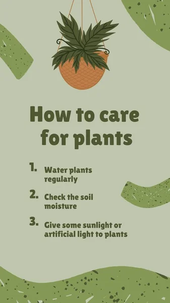 Мягкий Зеленый Ботанический Заботиться Помещении Растений Instagram Катушки Видео — стоковое фото