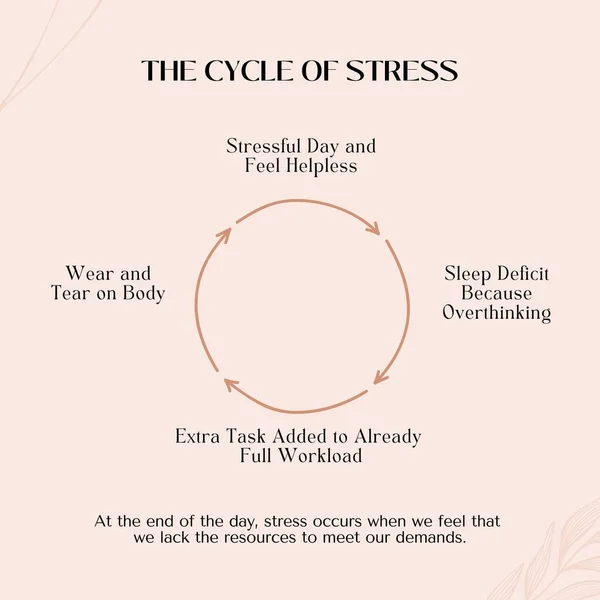 Beige Pink Natural Chart Cycle Stress Instagram Post — 스톡 사진