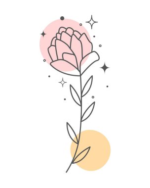 Minimalist Flowers Canvas Print