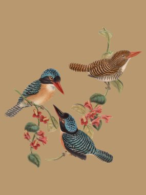 grafik tasarım tipografisi poster etiketleri hayvan ağaç adam kadın telefon kağıdı