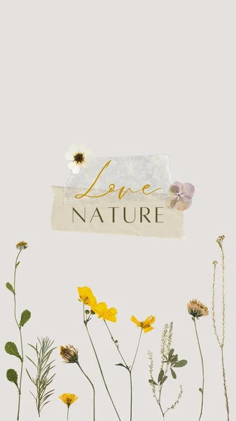 Neutral Beige Yellow Aesthetic Minimal Floral Botanical Instagram Story — Zdjęcie stockowe