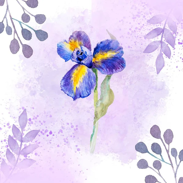 purple beautiful natural canvas print